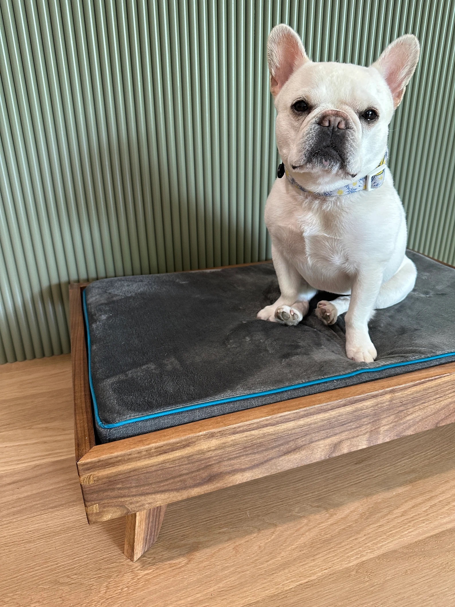 Wooden Dog Beds
